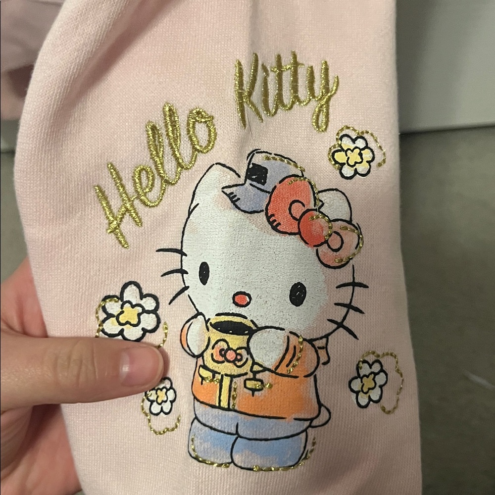 Hello Kitty Camping Pink Hoodie - Picture 4 of 5